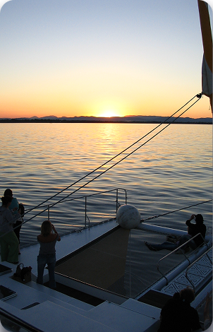 Observation du Grand dauphin au lever du soleil