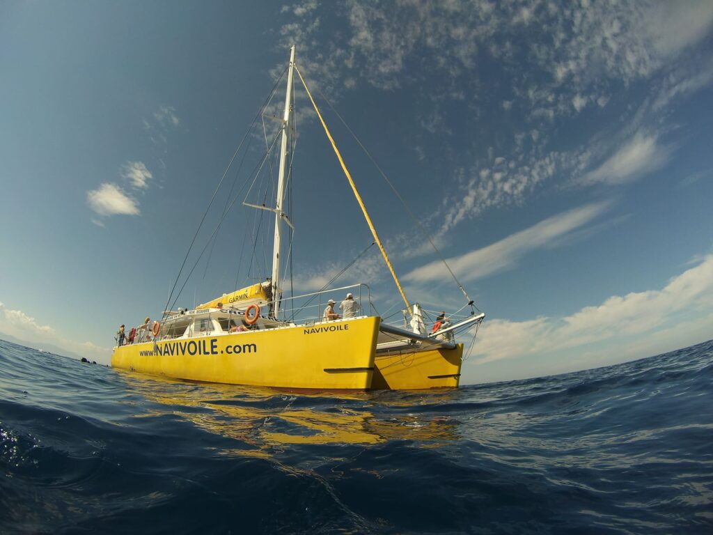 Le grand catamaran Navivoile stabilisé à l'ancrage dans les eaux turquoise de la baie de Paulilles lors d'une Sortie bateau Canet dédiée à la détente