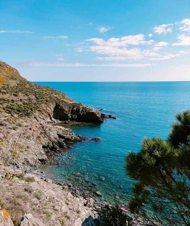 Grillade et baignade au départ de Port-Vendres