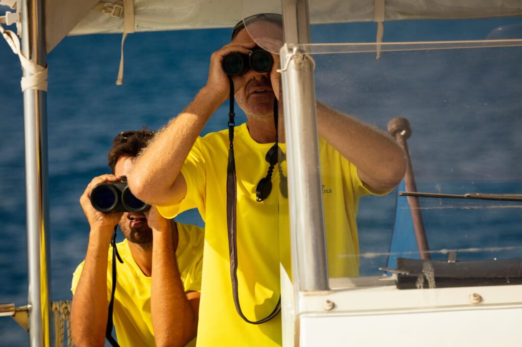 Le guide naturaliste et le capitaine du catamaran Navivoile scrutant l'horizon avec des jumelles au large d'Argelès-sur-Mer pour repérer les ailerons de dauphins lors d'une Excursion dauphins à Canet