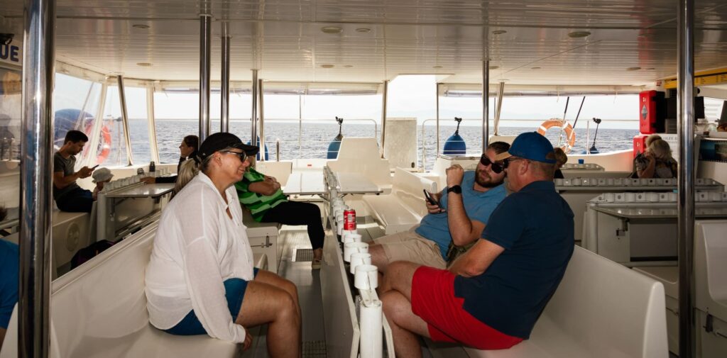 Un groupe de passagers souriants échangeant sur leurs observations de dauphins et visionnant leurs photos sur le pont du catamaran Navivoile lors du retour sous voiles vers Canet-en-Roussillon, après une Excursion dauphins à Canet