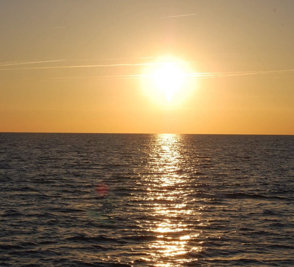 Photo d'une Sortie en Mer au Lever du Soleil au large de Collioure. Le soleil est déjà haut dans le ciel, marquant le début du jour sur une mer d'un bleu intense, lors d'une excursion d'observation de dauphin à bord du catamaran Navivoile