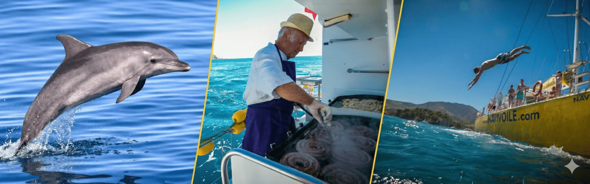 avec dauphins, baignade et grillades