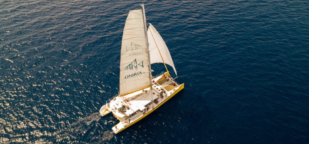 Vue majestueuse du catamaran Navivoile toutes voiles dehors, rentrant au port sans moteur après une séance d'observation dauphins Port-Vendres, glissant sur une mer calme sous une belle lumière de fin de journée