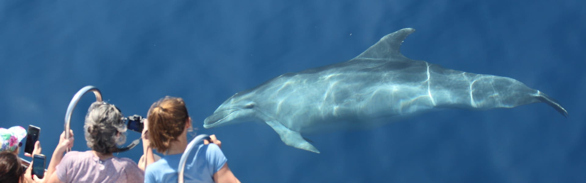 excursion en mer sur la Côte Vermeille
