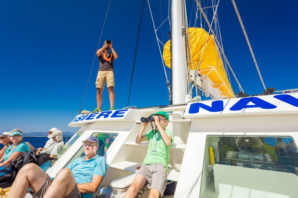 Un jeune enfant et des passagers installés à l'avant du navire observent la mer calme, tandis qu'un observateur naturaliste scrute l'horizon aux jumelles au large du Cap Cerbère, lors d'une observation dauphins Port-Vendres avec le catamaran Navivoile