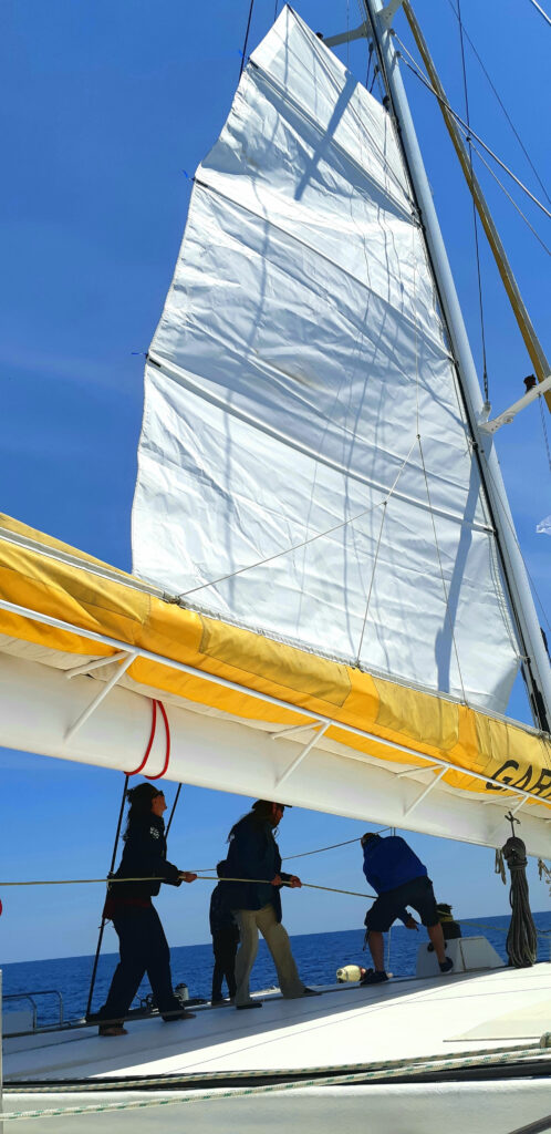 Photo de l'équipage en train de hisser la grand-voile sur le roof lors d'une Promenade en mer à Canet en Roussillon. La scène se déroule face à l'entrée du port de plaisance de Canet, à bord du catamaran Navivoile