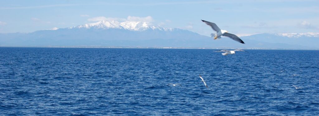 Vue panoramique depuis une Promenade en mer à Canet en Roussillon sur le catamaran Navivoile. On aperçoit le massif du Canigou enneigé dominant la station balnéaire de Port Saint-Cyprien au premier plan
