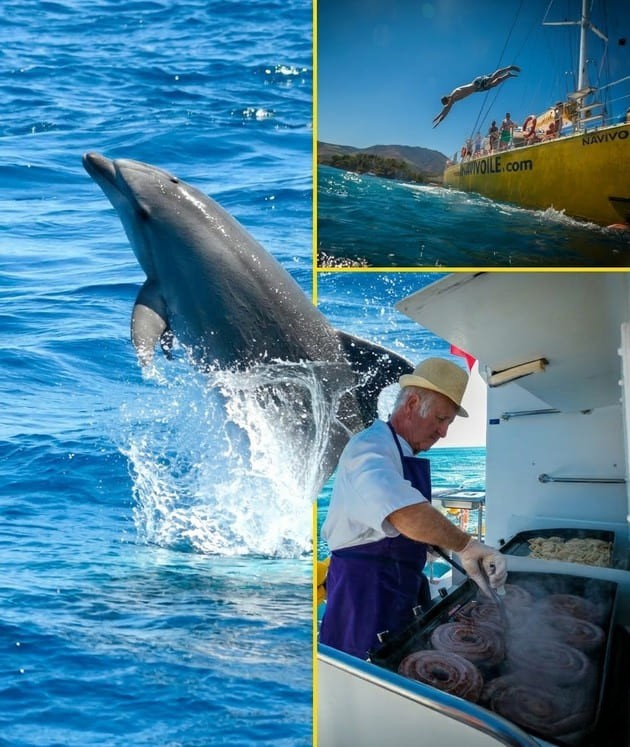 Dauphins avec grillade et baignade