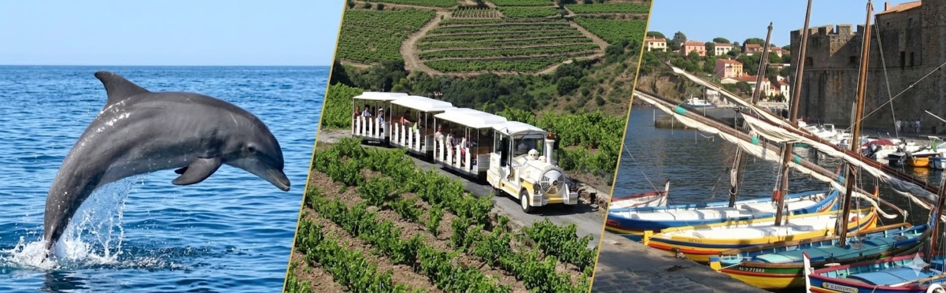 près de Collioure et Port-Vendres 