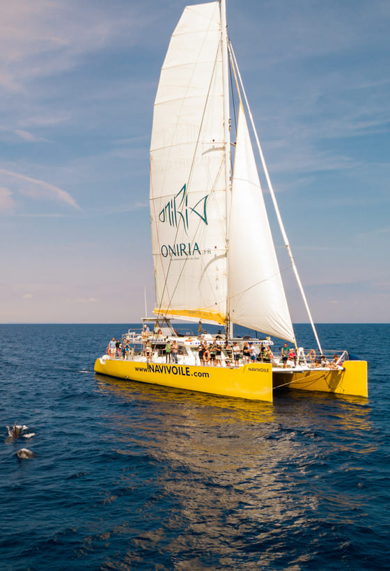 Un spectacle réservé autrefois aux marins, que nous vous invitons à partager au rythme du vent