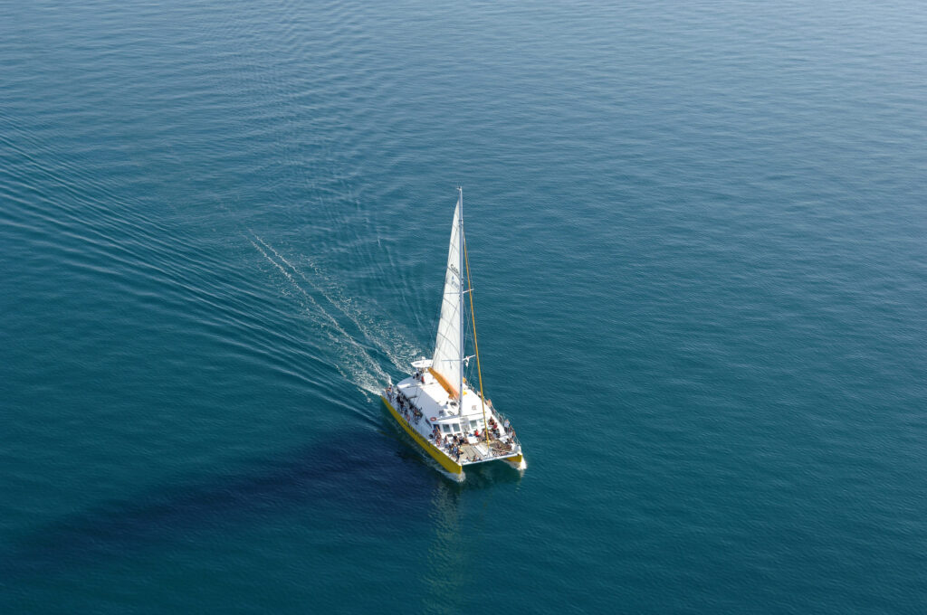Vue d'hélicoptère du catamaran Navivoile naviguant sur une eau bleu turquoise au lever du jour en direction du port de Collioure