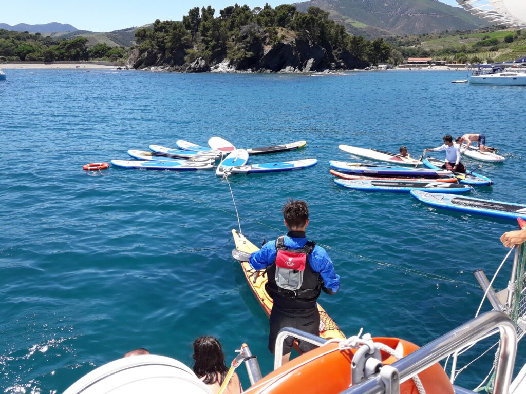 Collaborateurs en sortie séminaire profitant d'une activité pour groupe en stand-up paddle après un déjeuner barbecue dans la baie de Paulilles