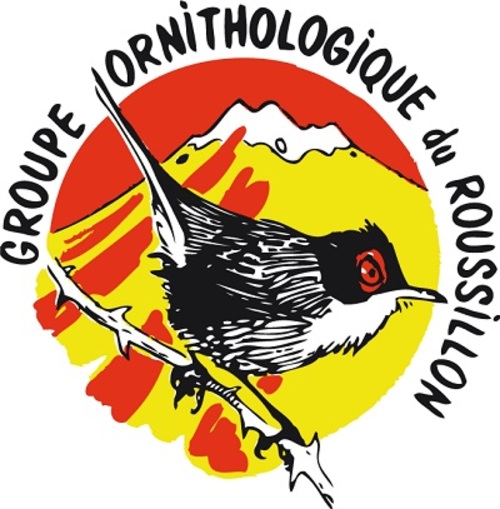 catamaran-navivoile-partenaires-groupe-ornithologique-du-roussillon