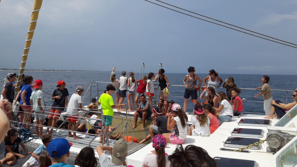Deux classes de CM1 en navigation sous voiles par légère brise au large de la plage d'Argelès-sur-Mer à bord du Navivoile