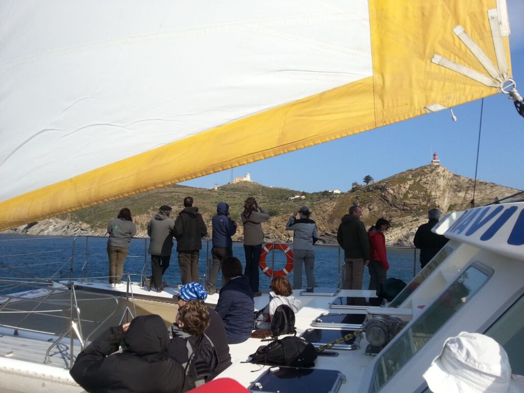 Passagers contemplant le phare rose du Cap Béar lors d'un voyage groupe organisé à bord du catamaran NAVIVOILE, lors d'une navigation côtière vers l'anse de Paulilles